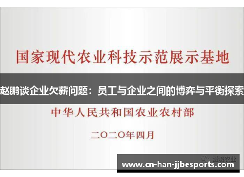 赵鹏谈企业欠薪问题：员工与企业之间的博弈与平衡探索