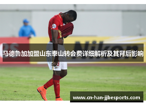 马德鲁加加盟山东泰山转会费详细解析及其背后影响